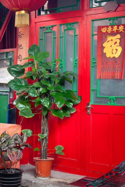 Sitting On The City Walls Courtyard House Hostel Beijing Exterior photo