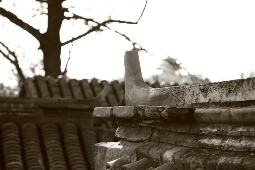 Sitting On The City Walls Courtyard House Hostel Beijing Exterior photo